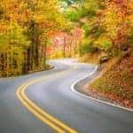Fall winding road