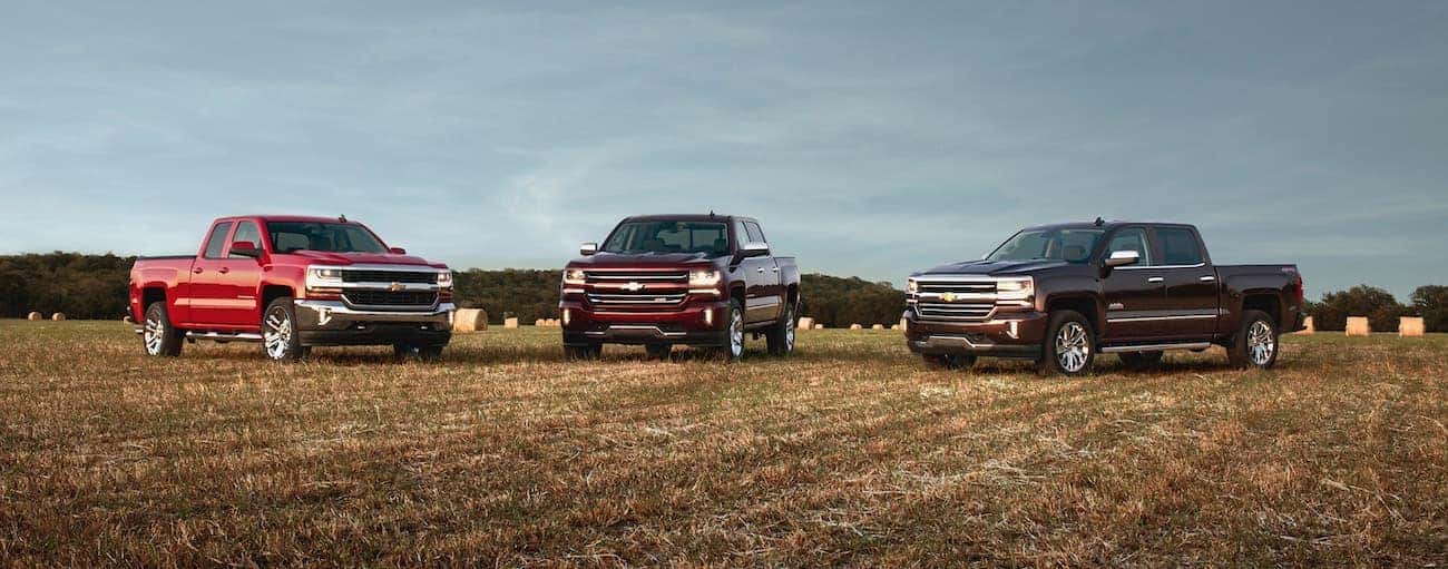 Three 2016 Used Chevrolet Silverado 1500s are parked in a field.
