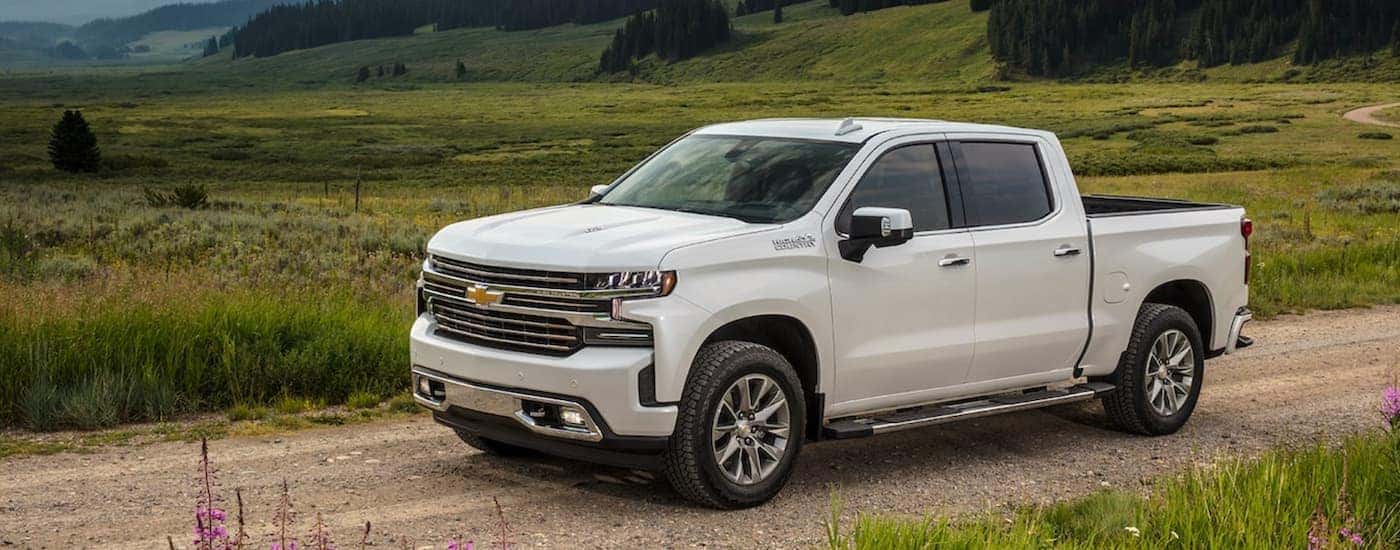 A white 2021 Chevy Silverado 1500 is on a dirt road in front of a field.