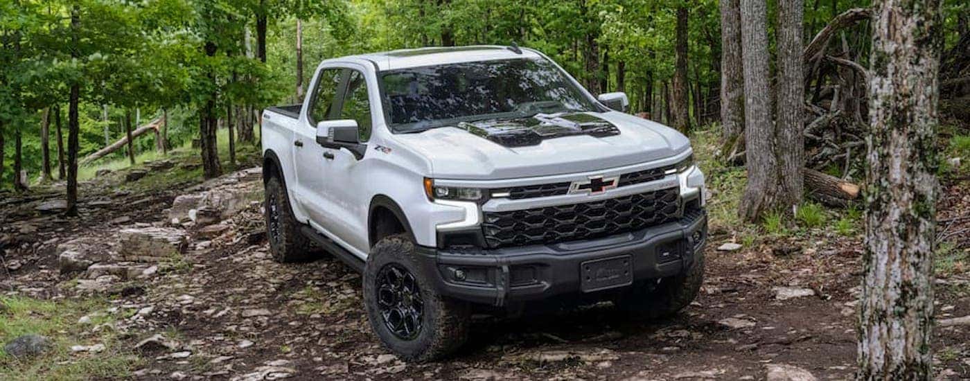 A white 2023 Chevy Silverado 1500 ZR2 Bison is shown from the front at an angle after leaving a dealer that has a Chevy Silverado for sale.
