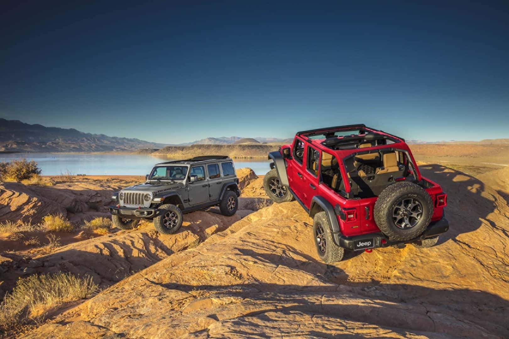 Two Jeep Wranglers Off Road