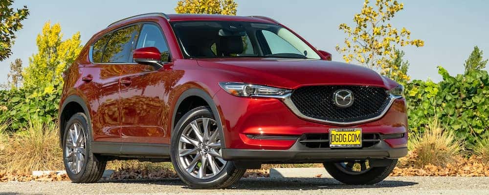 What Makes the Mazda CX-5 a Great Family Car?, Blog