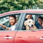 kia family car