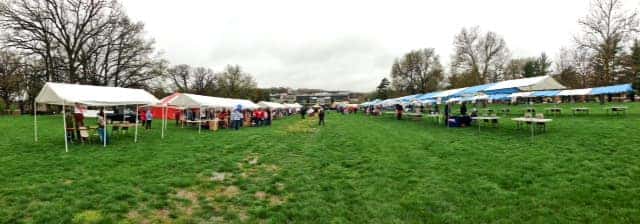 Aids Walk Images