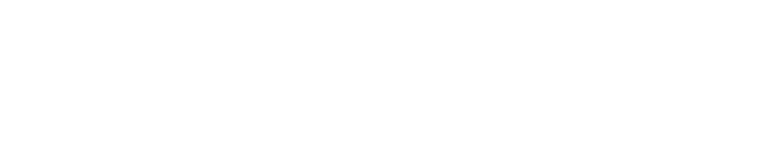 DriveWise &mdash; Low Down Payments. Easy Approvals.
