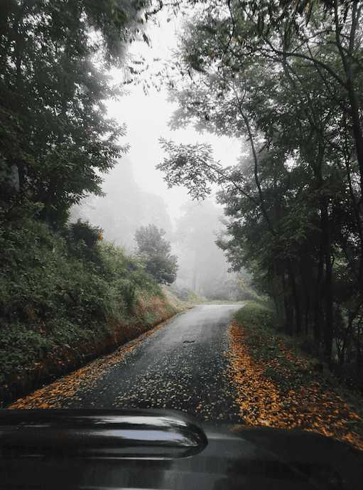 Driving on wet leaves is just as dangerous as driving on ice