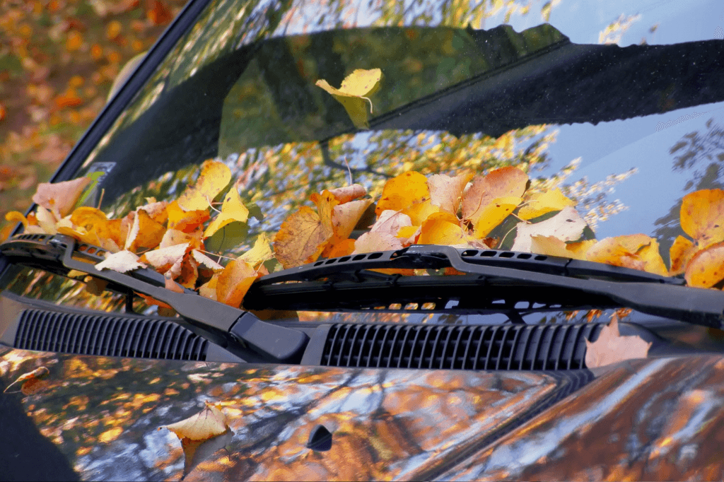 SightLine Wipers