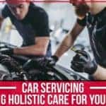Learn more about holistic health for you car