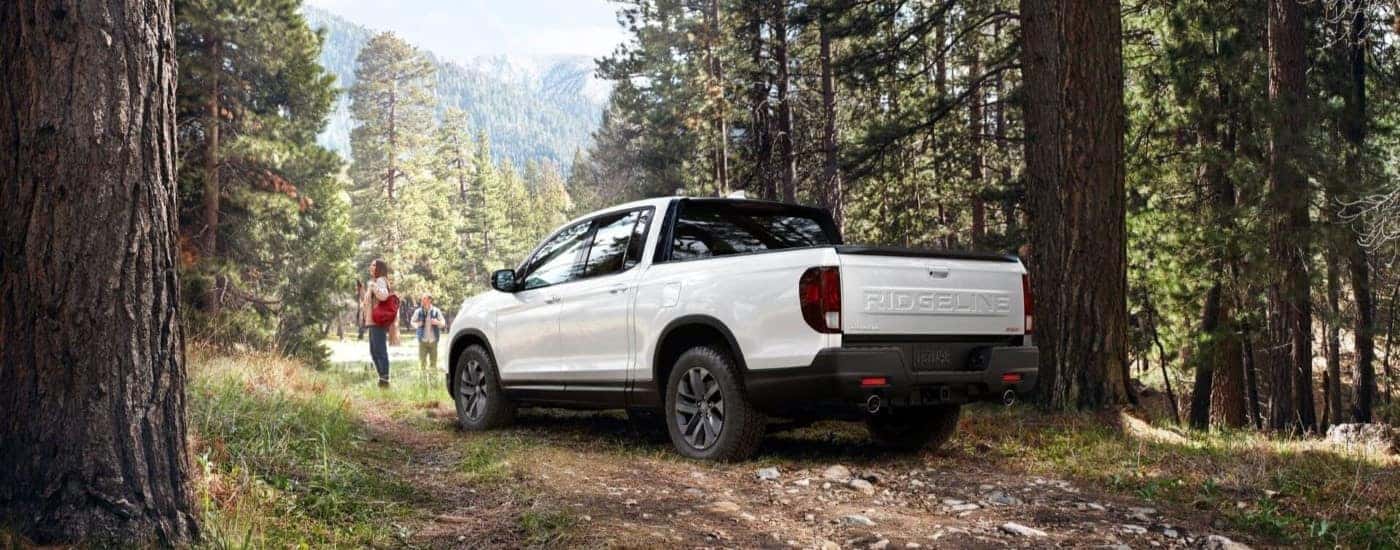 Rear view of a white 2024 Honda Ridgeline TrailSport parked in the woods.