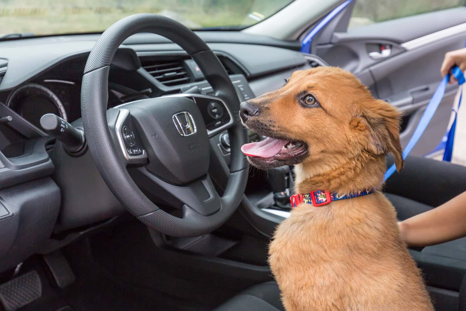 Fiesta Honda