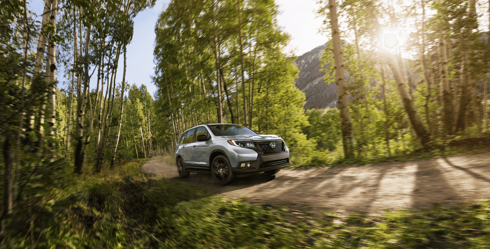 Honda Passport MPG