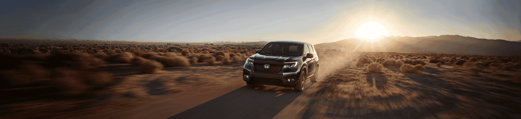 Honda Passport MPG