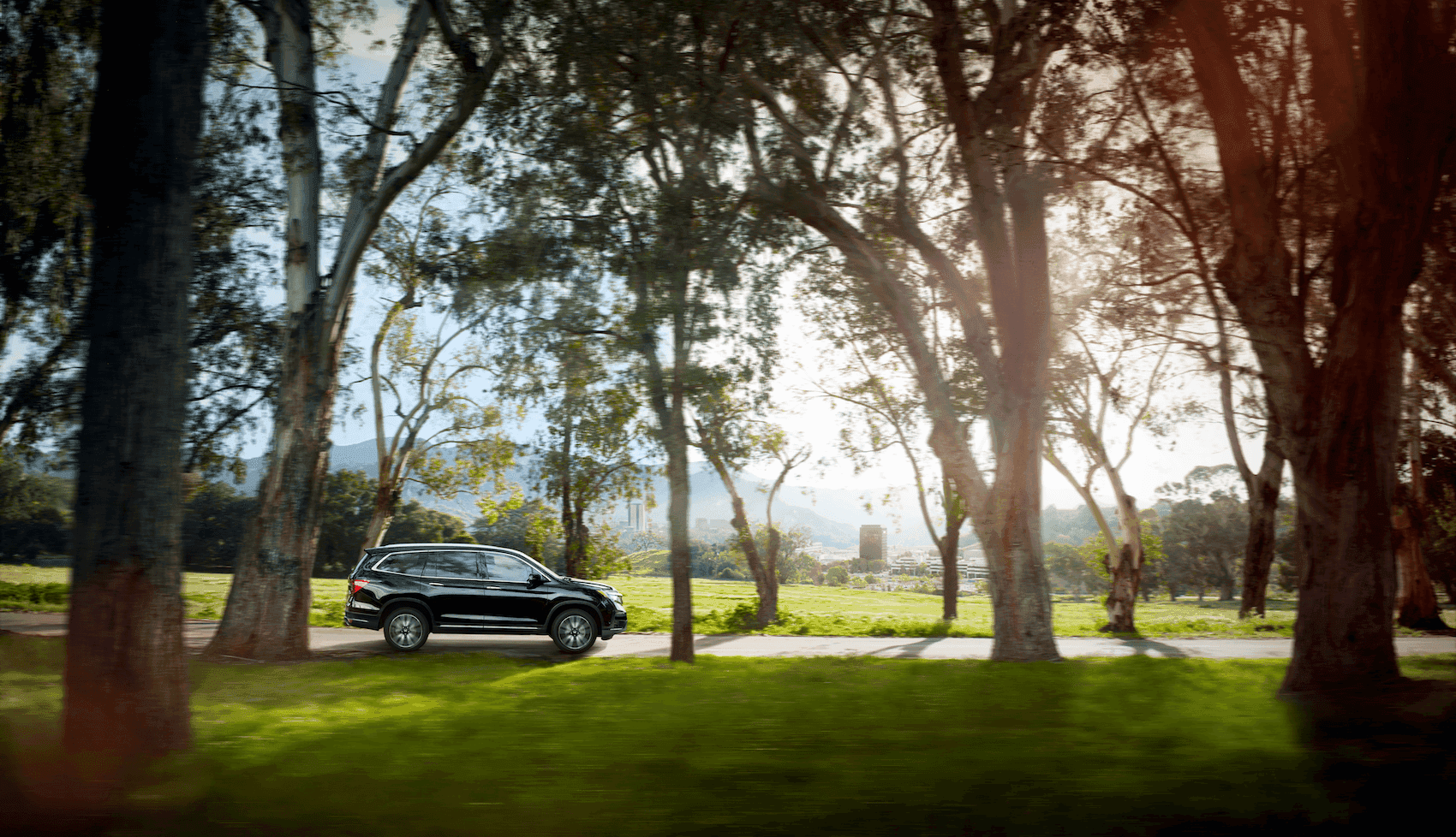 Driving the Honda Pilot on a Tree-Studded Road