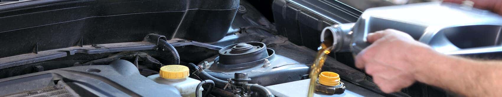 Honda Oil Change