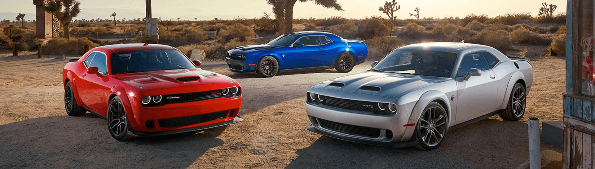 2021 Dodge Challengers on a dirt road.