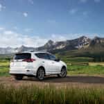 RAV-4