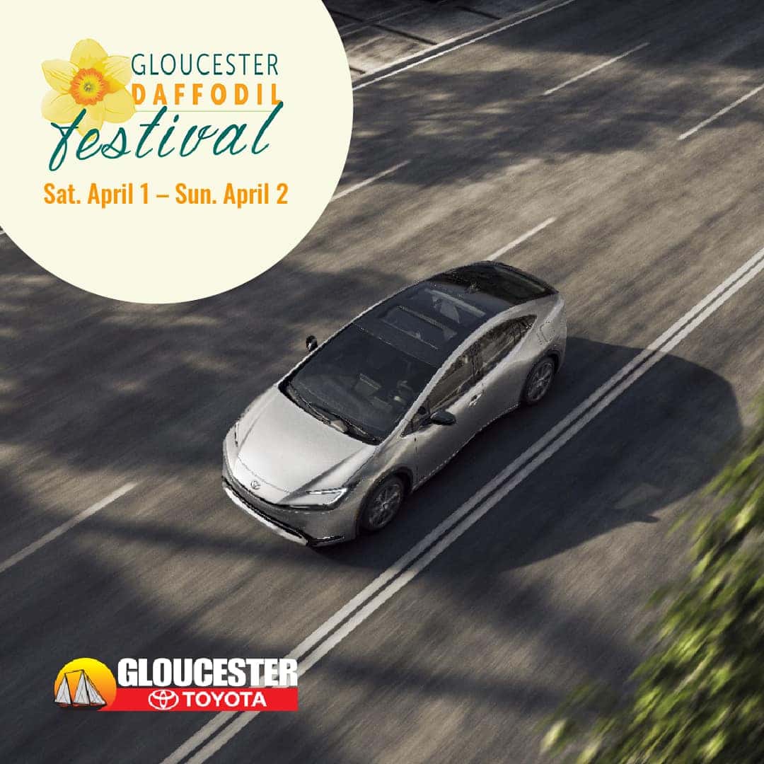 Gloucester Toyota Proudly Participates in the Gloucester Daffodil Festival