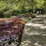 leu gardens