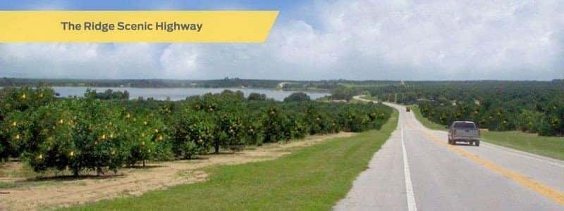 the ridge scenic highway