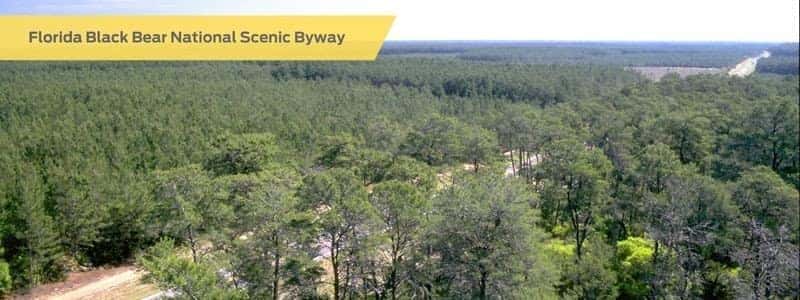 florida black bear national scenic byway
