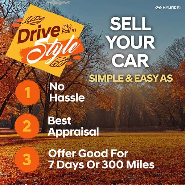 Sell Your Car!