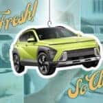 Vehicle Air Fresheners