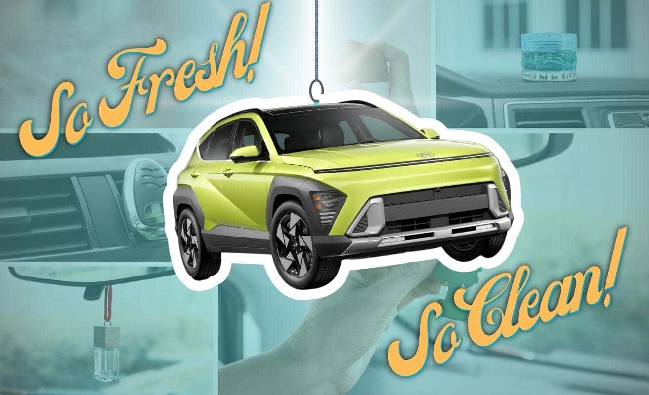 Vehicle Air Fresheners