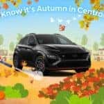 How To Know It's Autumn
