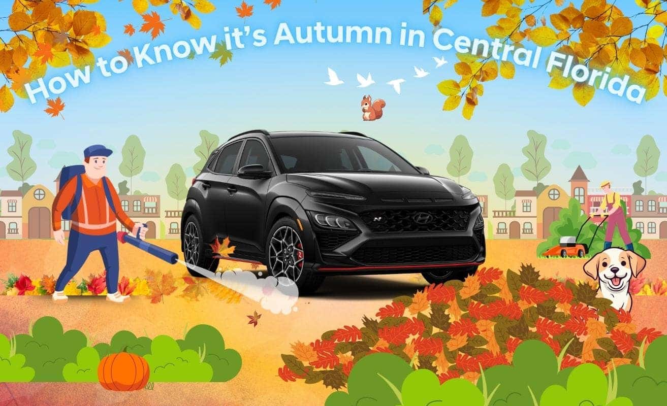 How To Know It's Autumn