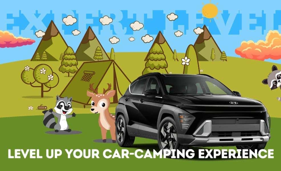 Expert Car Camping