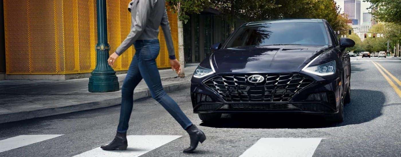 Black 2023 Hyundai Sonata for sale near Winter Garden on a test drive