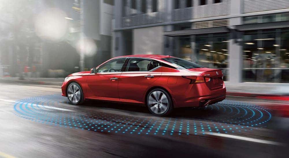 A red 2021 Nissan Altima is on a city street with simulated Safety Shield marking on the ground after leaving a Nissan dealer near me.