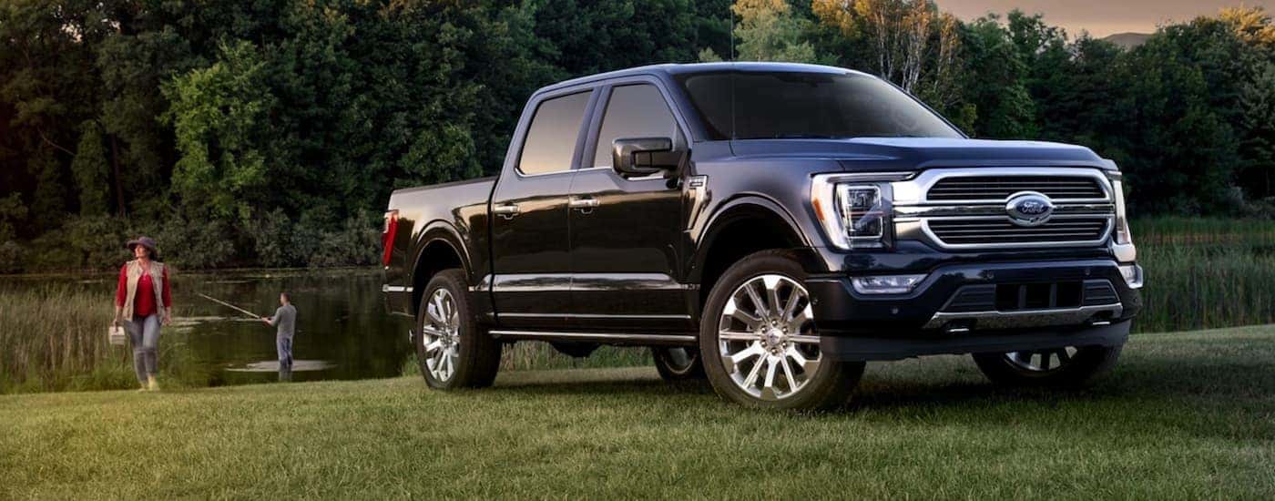 A black 2021 Ford F-150 is shown parked in a grassy field.