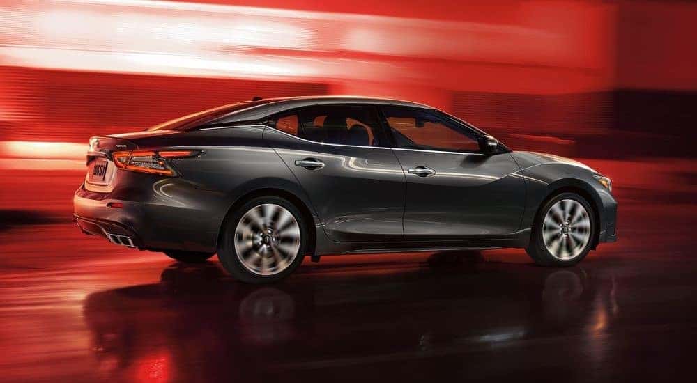 A grey 2023 Nissan Maxima Platinum is shown from the side against a red background.