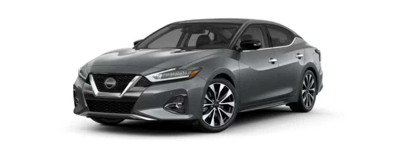 Grey 2023 Nissan Maxima angled left