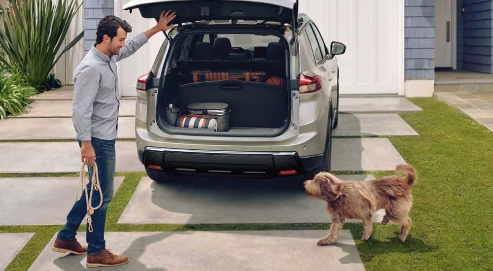 A man and dog by a sand-colored 2026.5 Nissan Rogue Platinum AWD rear cargo area.