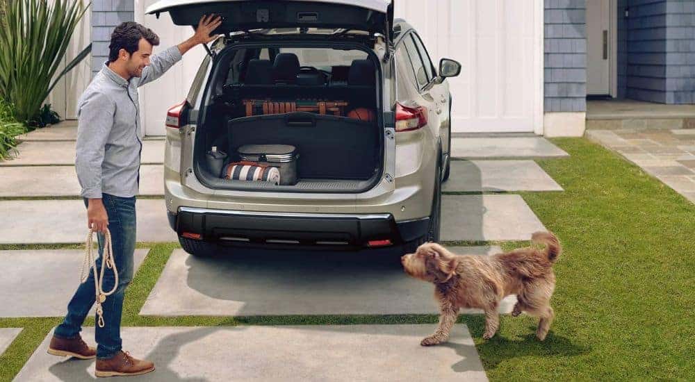 Rear view of a white 2026 Nissan Rogue Platinum with a man holding the cargo area open for his dog.