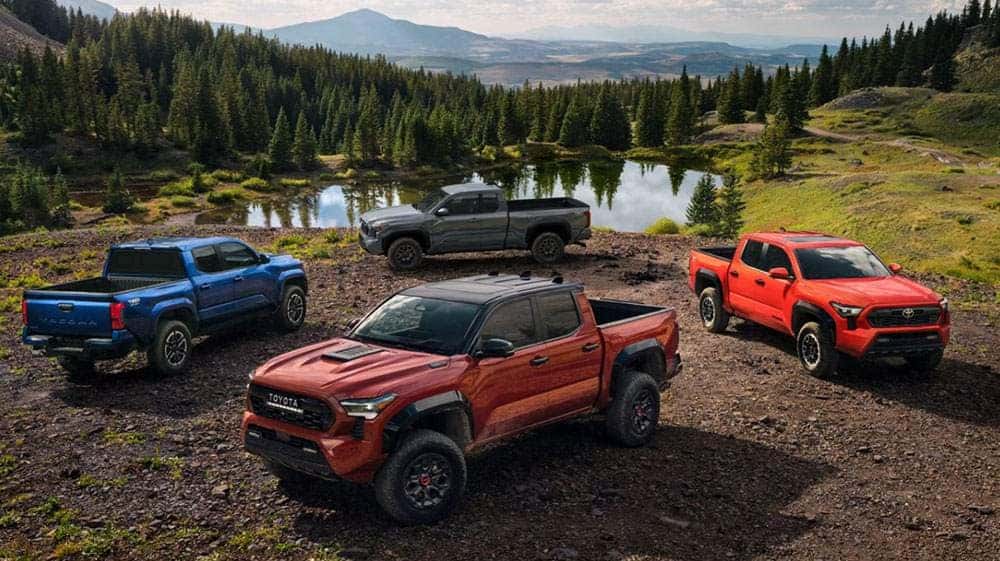 2024 Toyota Tacoma Truck Models