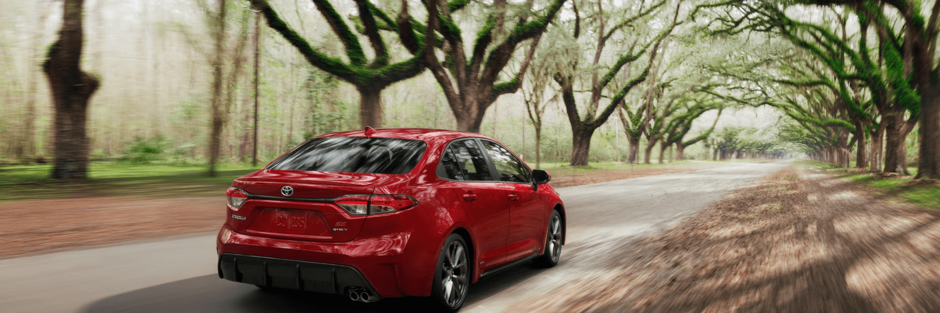 Performance comparison: 2025 Toyota Corolla vs 2025 Hyundai Elantra