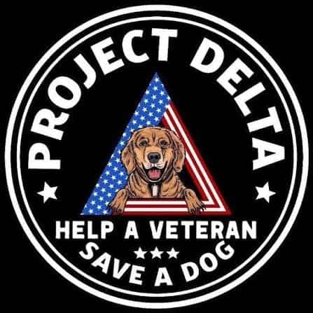 Project Delta