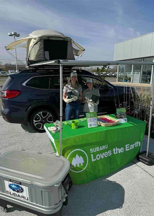 tree giveaway event