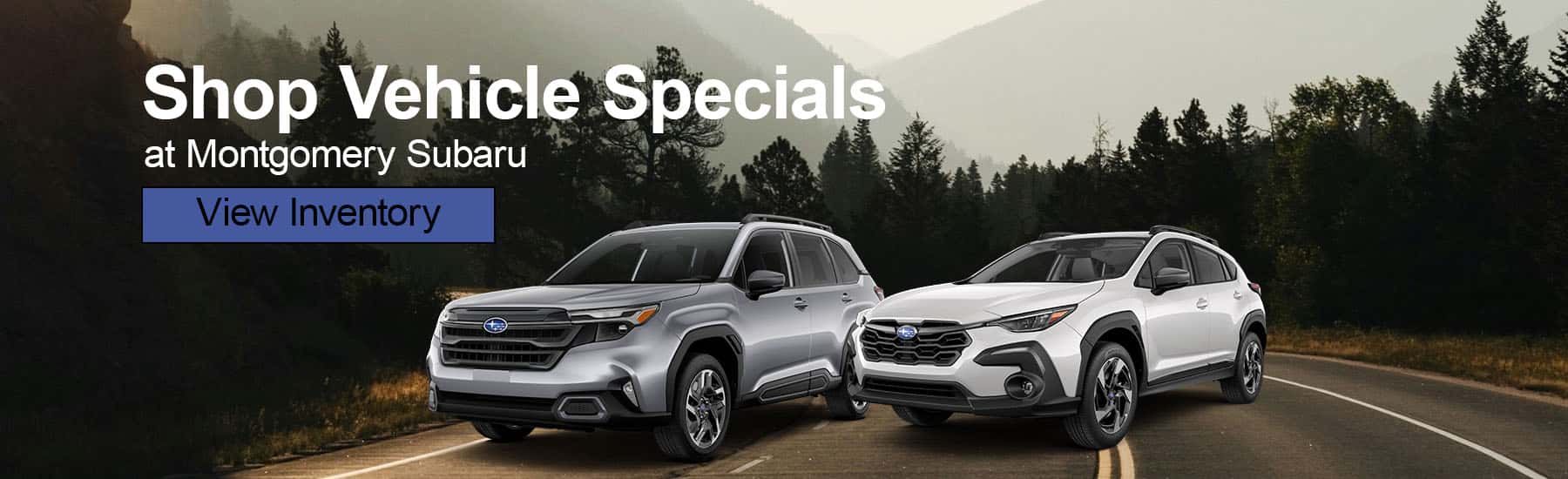 special offers
