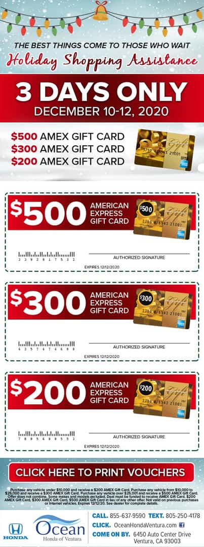 Holiday Shopping Assistance - 3 Days Only