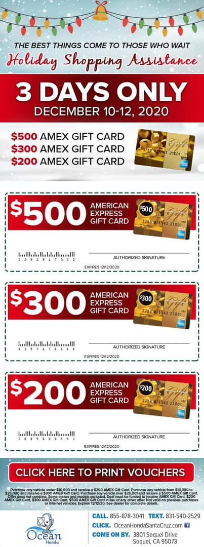 Holiday Shopping Assistance - 3 Days Only