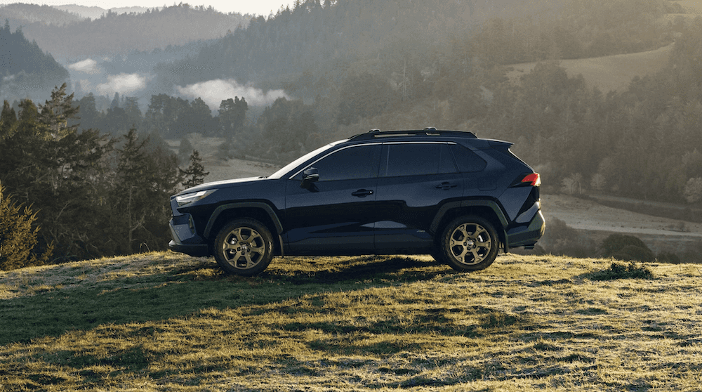 New Blue 2025 RAV4 Exterior Nearby Moss Point 