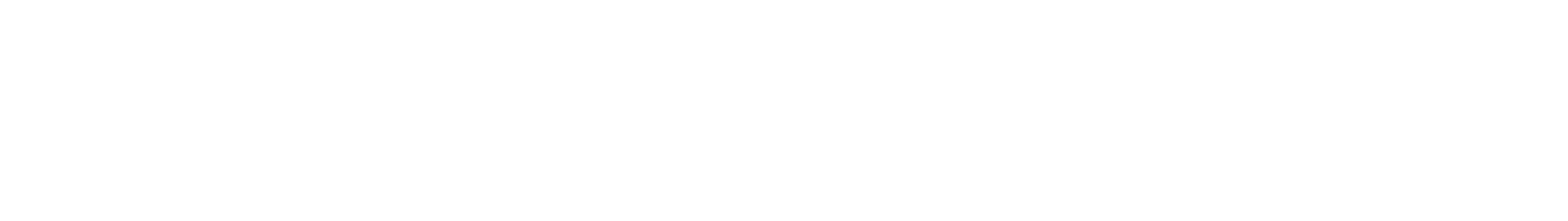 experience the parks promise