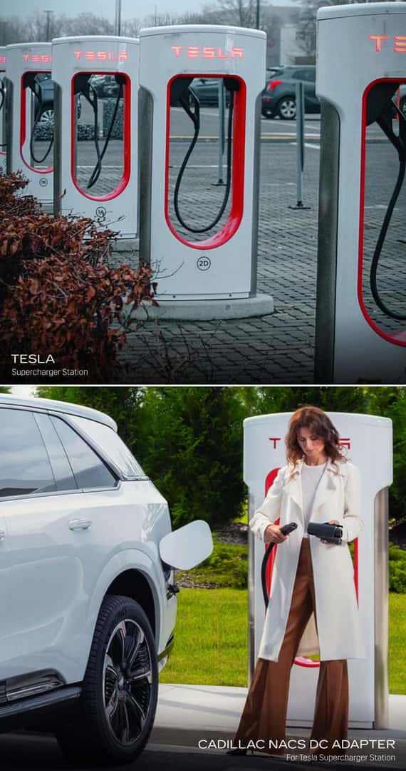 Cadillac LYRIQ vs. Tesla Model Y Specs: An Electric Performance Showdown