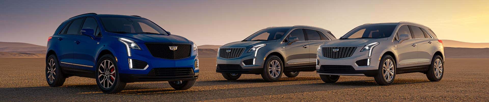 2025 Cadillac XT5 SUV lineup parked outdoors at Quantrell Cadillac dealership