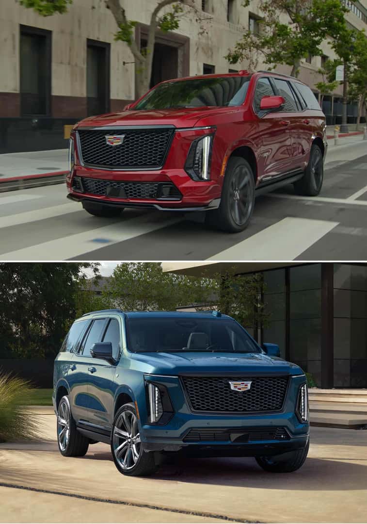 Go Fast, Tow a Lot: Cadillac Escalade V-Series Performance Specs and Features
