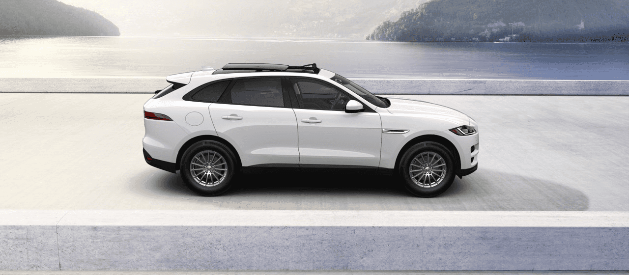 Polaris White